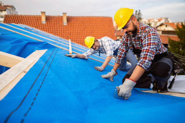 Roof Gutter Cleaning in Flowery Branch, GA